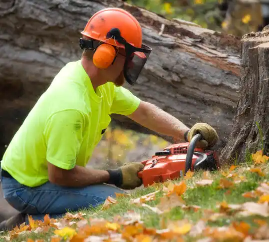 tree services Estell Manor